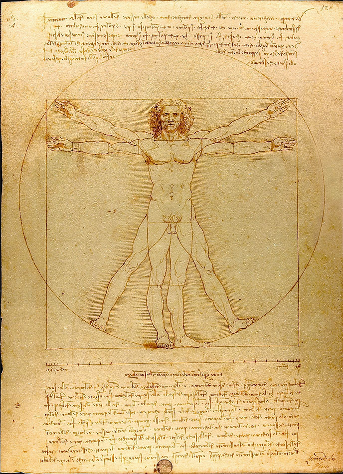 Пропорции человека Леонардо да Винчи, Витрувианский человек